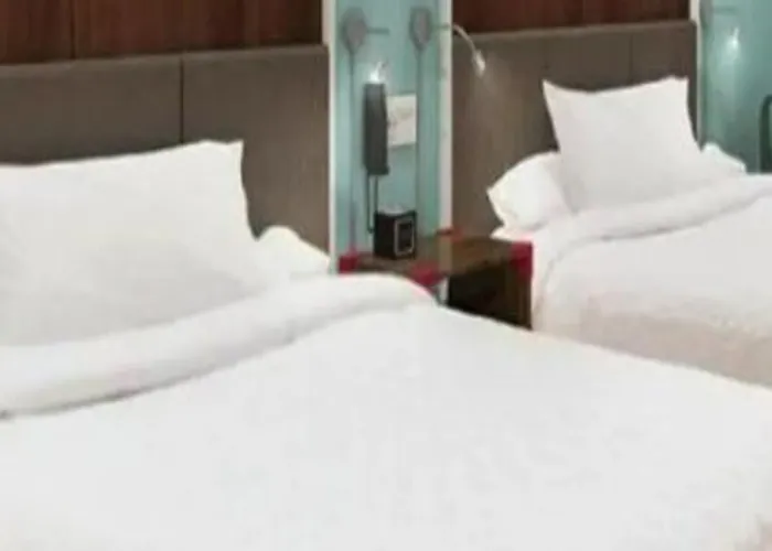 Hotel Tru By Hilton Airport 3*